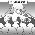 什么是題材與板塊 題材與板塊是什么意思-RB螺紋鋼期貨交易網