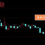 大額實時支付系統是指什么,大額實時支付系統的功能和作-RB螺紋鋼期貨交易網