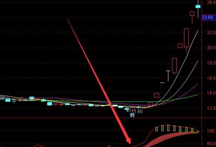 2022社保基金重倉的前十個股票排行榜:十大流通股排名一覽表 2022社保基金重倉的前十個股票排行榜:十大流通股排名一覽表