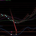 A股2022年生豬養殖概念股龍頭有哪些?(5/24)-RB螺紋鋼期貨交易網