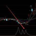 疫苗股票的龍頭股都有哪些？疫苗龍頭股全揭示-RB螺紋鋼期貨交易網