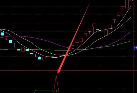 2022年玉米種子概念股名單出爐(6月10日) 2022年玉米種子概念股名單出爐(6月10日)