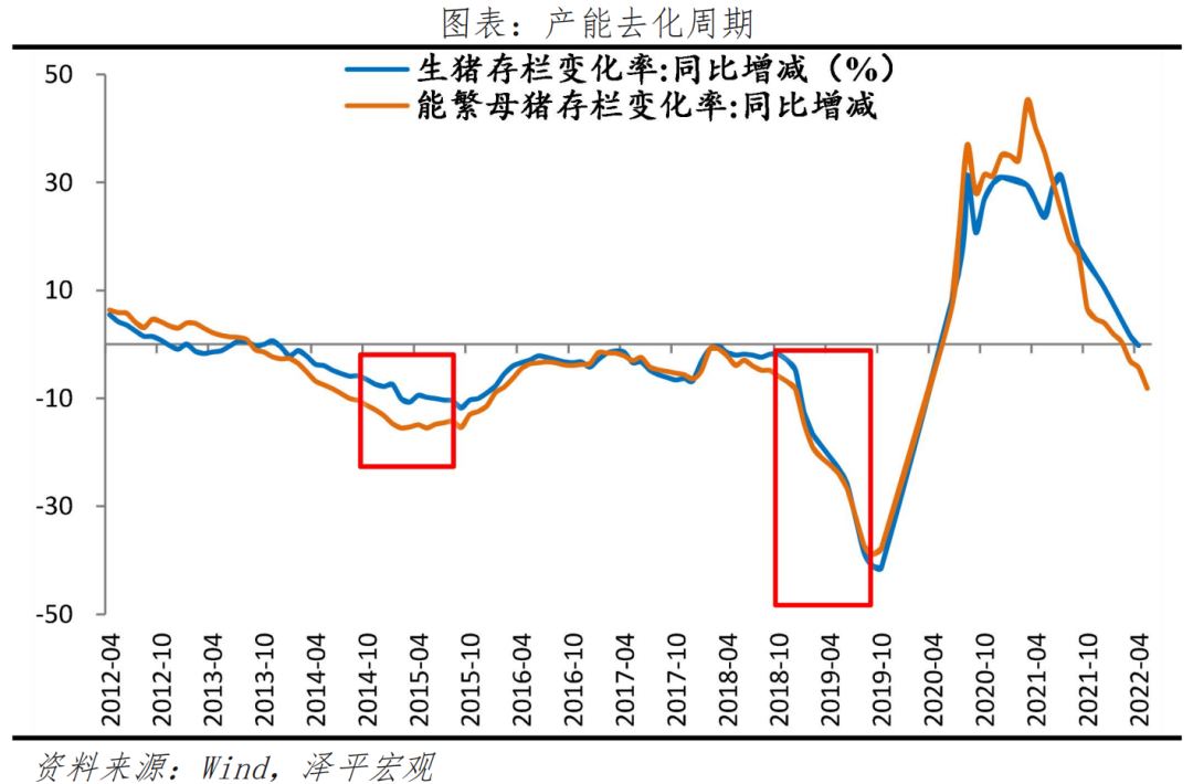 任澤平:當前是第五輪豬周期開始階段 但不具備快速大幅上行條件 任澤平:當前是第五輪豬周期開始階段 但不具備快速大幅上行條件