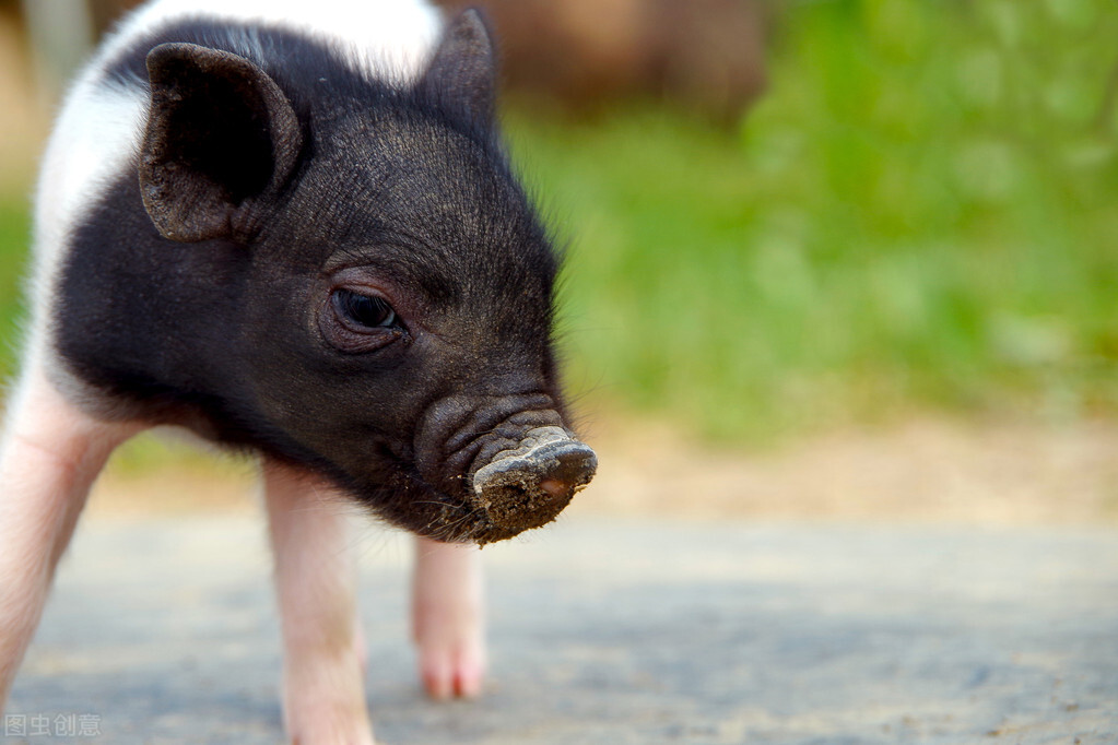 方正證券泉友通產品的幾個版本都有什么差別？-RB螺紋鋼期貨交易網