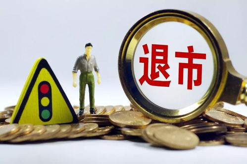 IC中證500股指期貨上海行情代碼是什么？-RB螺紋鋼期貨交易網