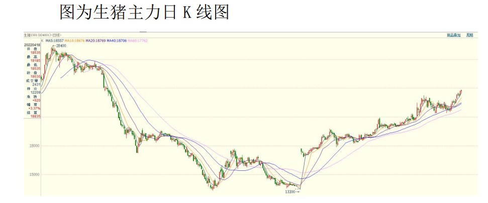 出欄節奏有所放緩 生豬盤面偏強運行-RB螺紋鋼期貨交易網