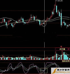 股票知名的博主有哪些(新浪的股票博主們) 股票知名的博主有哪些(新浪的股票博主們)