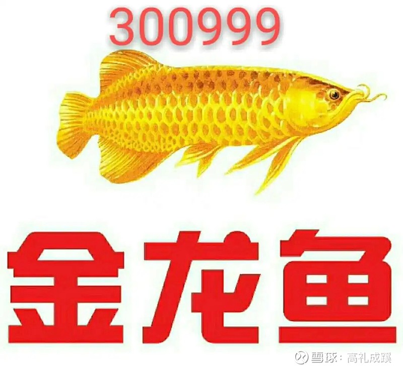 好醫保住院醫療如何申請墊付？-RB螺紋鋼期貨交易網