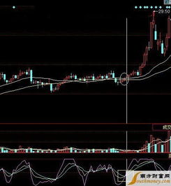 股票知名的博主有哪些(新浪的股票博主們) 股票知名的博主有哪些(新浪的股票博主們)
