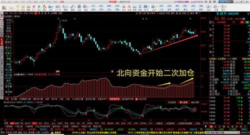 華泰聯合證券“護航”，康蒂尼擬闖關創業板IPO-RB螺紋鋼期貨交易網