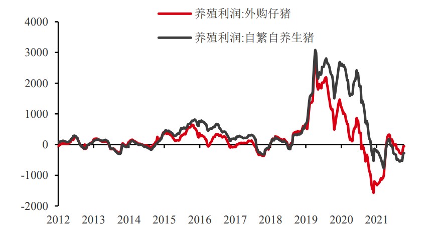 生豬供需矛盾相對緩和 玉米或持續反彈走強-RB螺紋鋼期貨交易網