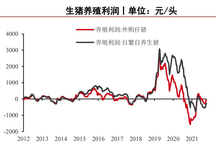 歐洲新季玉米產量下滑 生豬終端消費有所改善-RB螺紋鋼期貨交易網