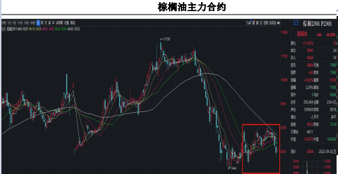 油脂向上推漲驅動力不足 棕櫚油庫存或將累增 油脂向上推漲驅動力不足 棕櫚油庫存或將累增