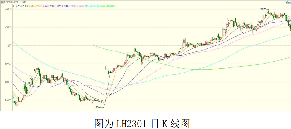 生豬期價或寬幅震蕩 重點關注終端消費情況 生豬期價或寬幅震蕩 重點關注終端消費情況