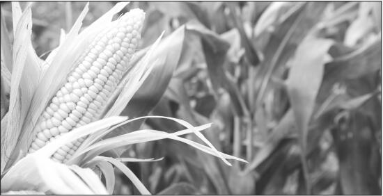 期貨怎樣開戶？請問具體哪些步驟要求？-RB螺紋鋼期貨交易網