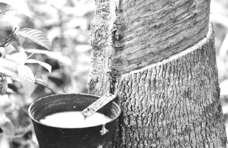 咨詢一下，各個期貨公司保證金一樣嗎，那家好？-RB螺紋鋼期貨交易網