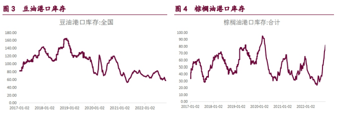 油脂市場調整 油粕蹺蹺板效應有所弱化 油脂市場調整 油粕蹺蹺板效應有所弱化