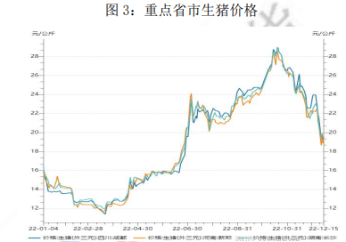 雙節臨近需求或有增量 后市生豬仍有復蘇可能 雙節臨近需求或有增量 后市生豬仍有復蘇可能