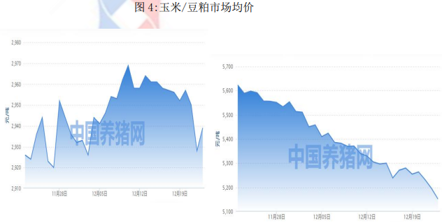 雙節臨近需求或有增量 后市生豬仍有復蘇可能 雙節臨近需求或有增量 后市生豬仍有復蘇可能