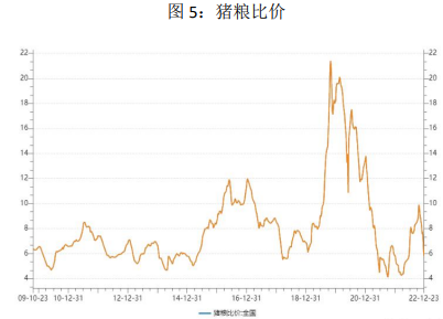 雙節臨近需求或有增量 后市生豬仍有復蘇可能 雙節臨近需求或有增量 后市生豬仍有復蘇可能