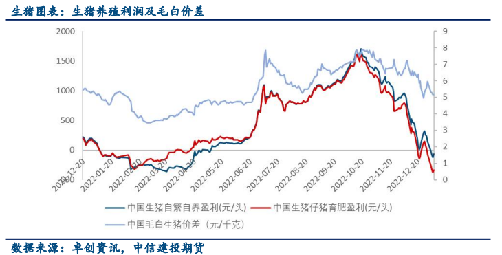 現貨市場依舊偏弱 生豬期貨價格窄幅波動 現貨市場依舊偏弱 生豬期貨價格窄幅波動